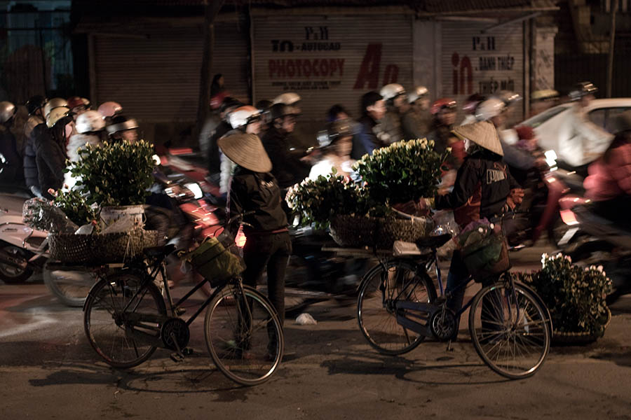 Night Flower Sellers