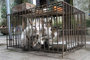Three Caged Cats