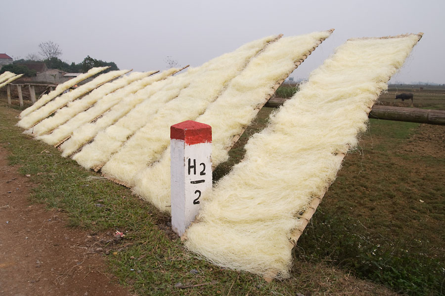 Sun-drying Noodles