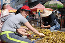 Cutting Silkworm Grubs