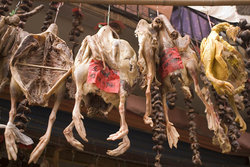 Drying Meat