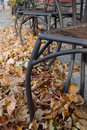 Cafe in Autumn