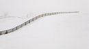 Snow Fence