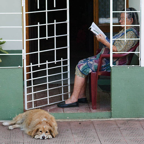 Midday in San Joachin