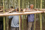 Lashing Bamboo