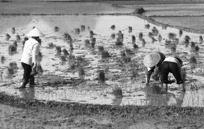 Planting Time