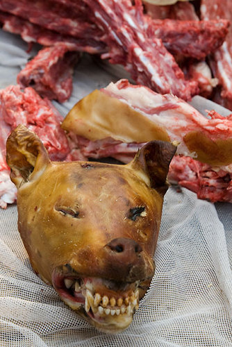 Dog Meat