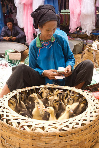 Duckling Vendor