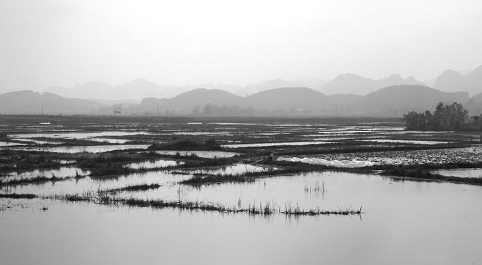 Paddies and Mountains