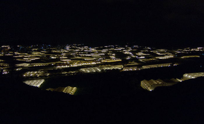 Greenhouses