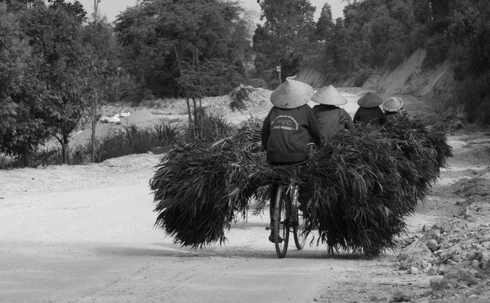 Departure of the Peloton