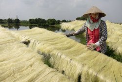 Drying Noodles