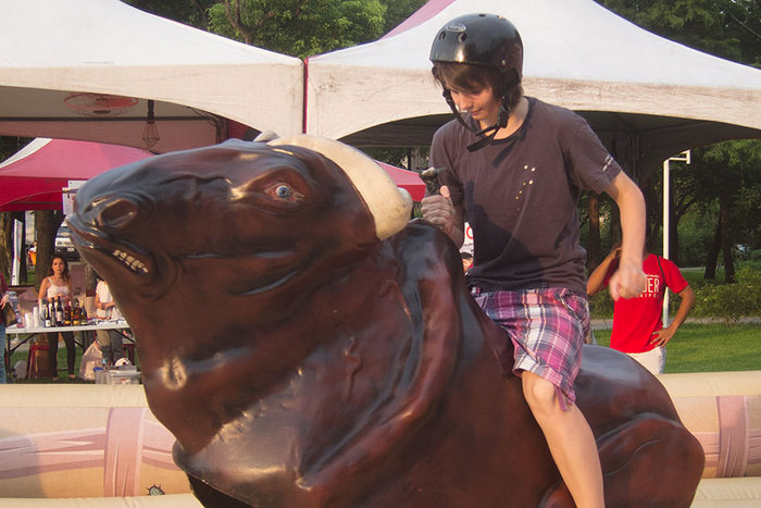 Mechanical Bull