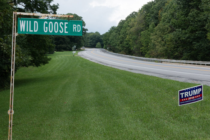 Wild Goose Chase