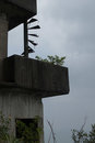 Abandoned Lookout