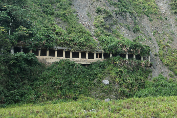 Abandoned Road