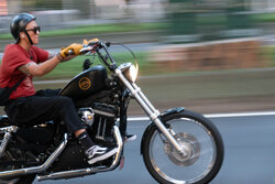 Harley