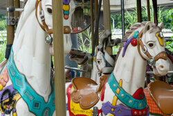 Merry Go Round