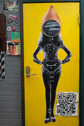 Intriguing Door
