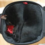 Curled Up