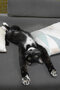 Max Relaxed