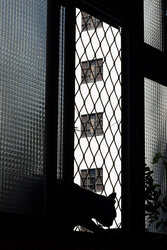 Living Room View