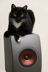 Nice Speaker
