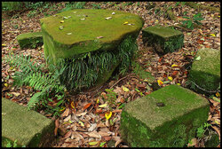 Mossy Table