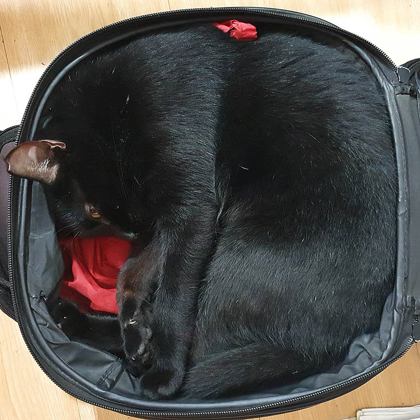 Curled Up