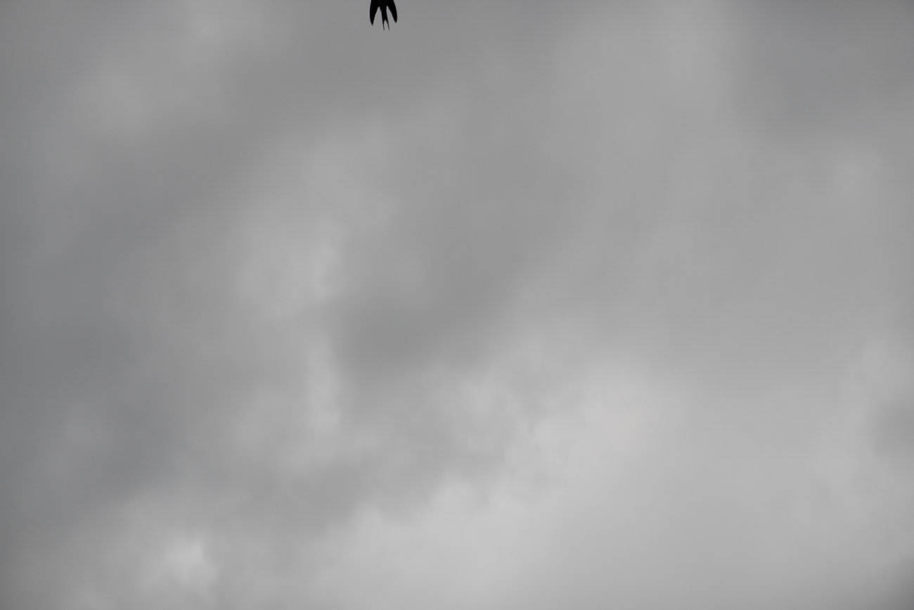 Out of Frame