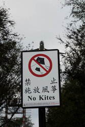 No Kites