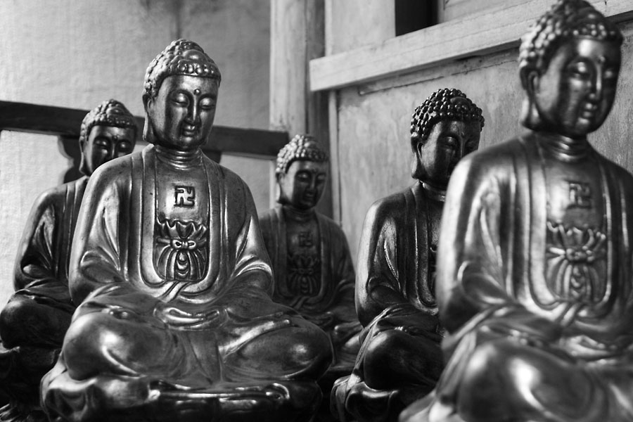Buddhas for Sale
